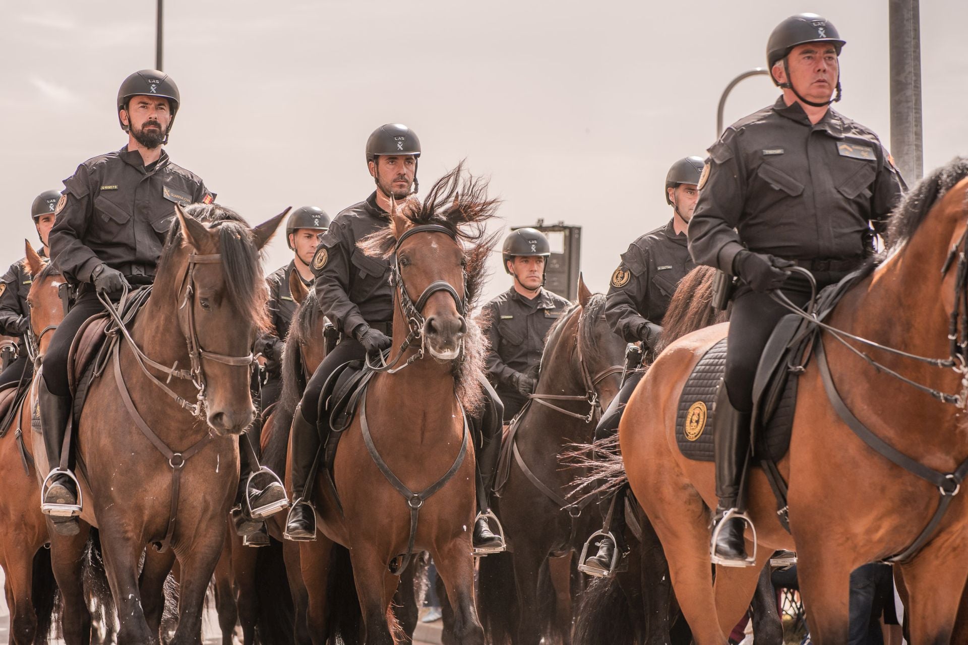 Desfile de la Guardia Civil en Mérida, en imágenes (II)