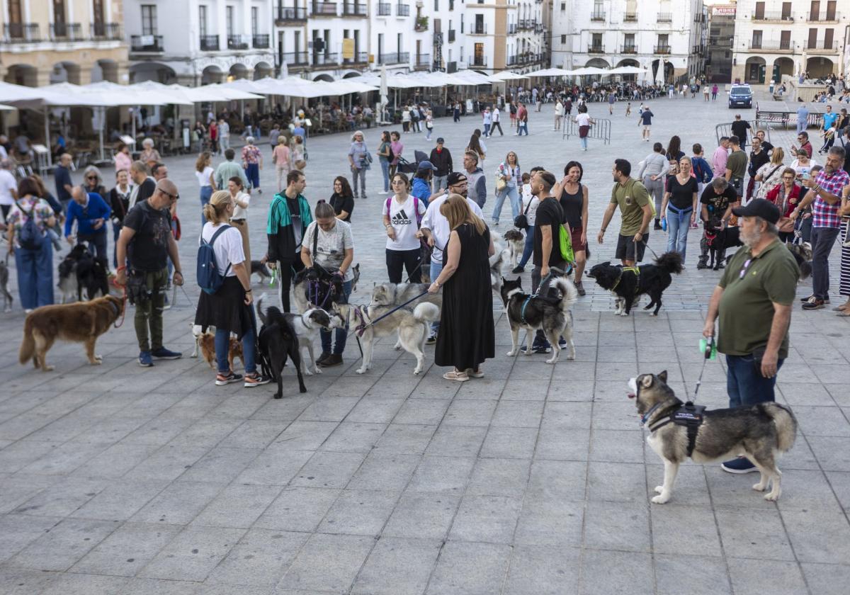 Manifestación de dueños de perros en Cáceres.