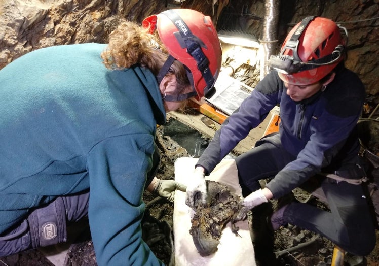 Trabajo de excavación de la mina Terría.