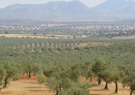 Crítica a la gestión pública de la agricultura ecológica