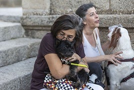 Si los perros hablaran