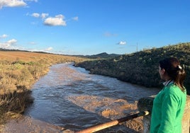 Una mujer comprueba el caudal abundante con el que entra el río Matachel en la presa de Los Molinos, en Hornachos, este jueves.