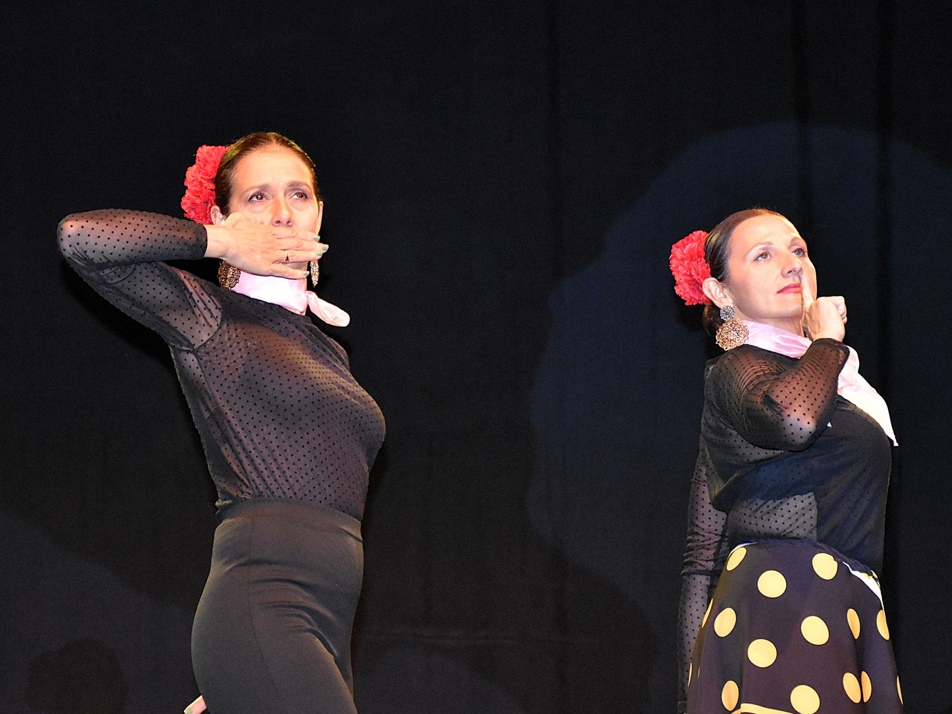 Gala flamenca de Albahaca &#039;Loli Gil&#039;