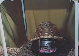 Imagen de archivo de un brasero de picón.