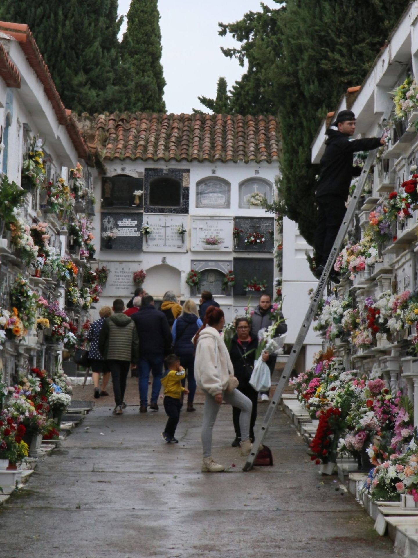 Mérida. 