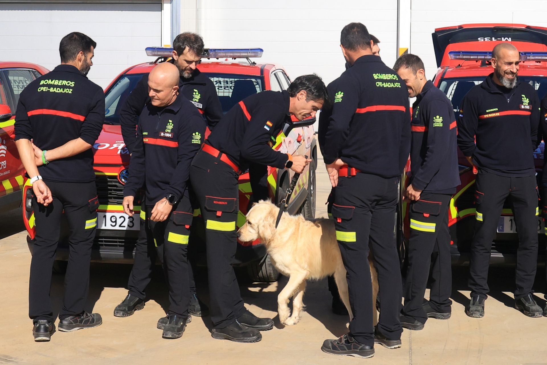 Así han recibido a los bomberos de la Diputación de Badajoz que regresan de Valencia