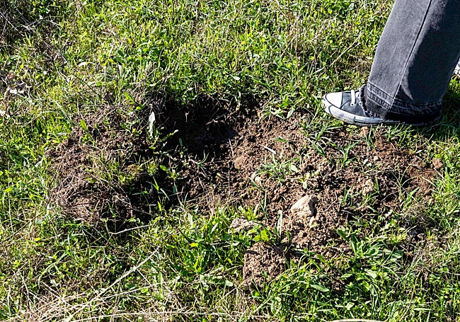 Uno de los 60 orificios que salpican el terreno.