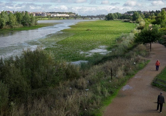 El Guadiana a su paso por Badajoz.