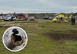 Efectivos de emergencia movilizados a la cantera de granito en la que ocurrió la explosión.