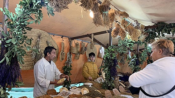 «La DANA ha impedido que vengan 15 comerciantes a montar sus puestos en Cáceres»