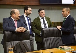 Juan José García, Álvaro Sánchez-Ocaña, Javier Bravo y Óscar Fernández, diputados de Vox, en el pleno de este jueves.