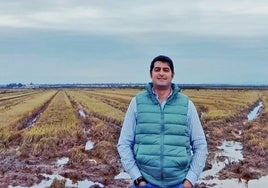 Eloy Manuel Sánchez trabaja con arroz y olivos.