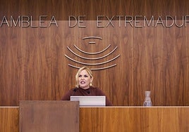 La consejera de Hacienda, Elena Manzano, en la presentación de las cuentas de 2025 en la Asamblea.