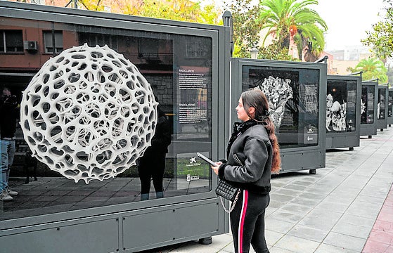 Imagen principal - Exposiciones de solidaridad y música en Badajoz