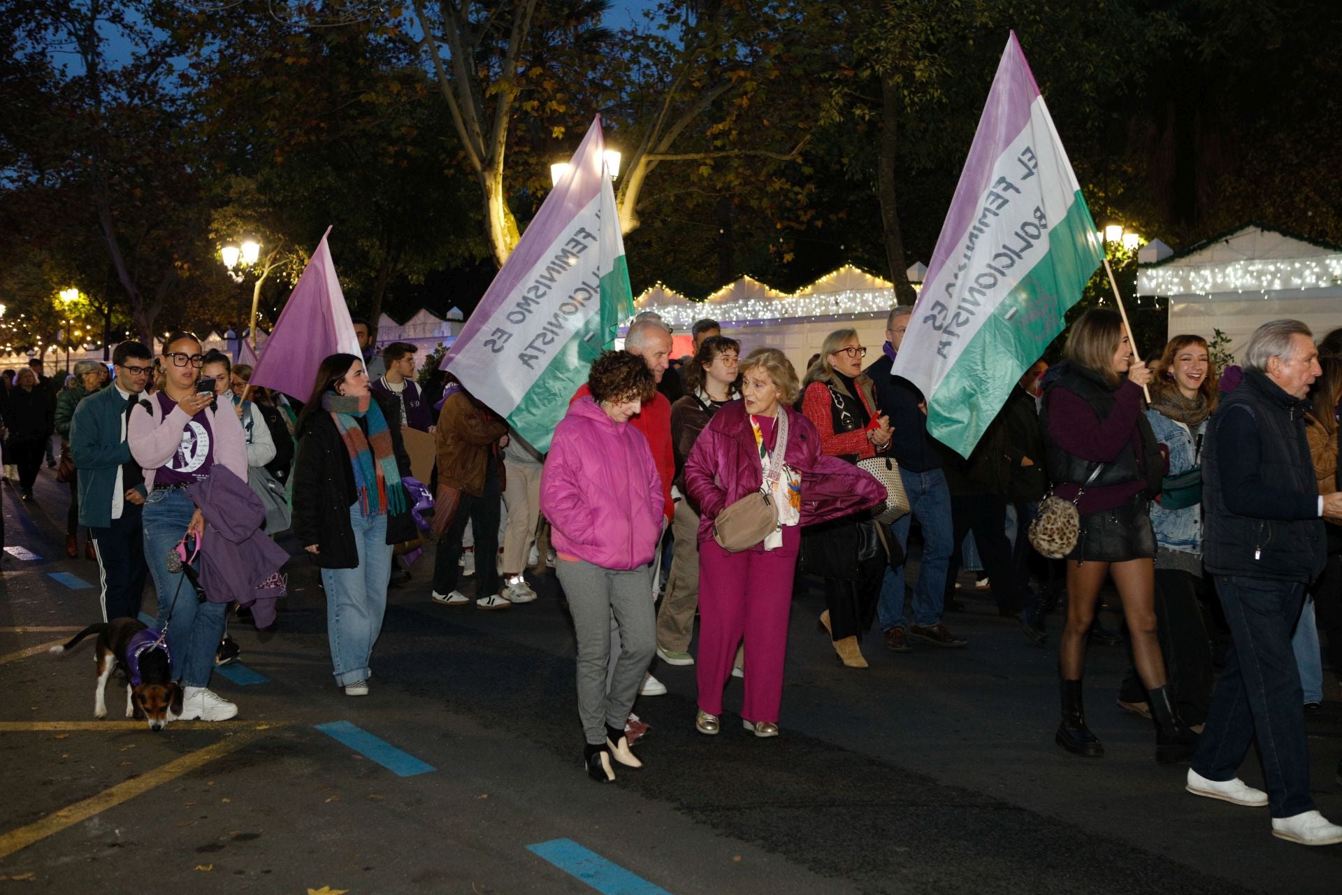 Las calles de Extremadura claman contra la violencia machista