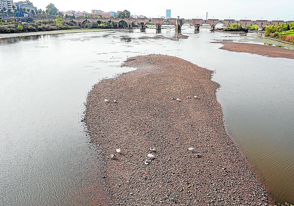 Una de las islas de tierra que han aparecido en el Guadiana por la bajada del nivel del agua.
