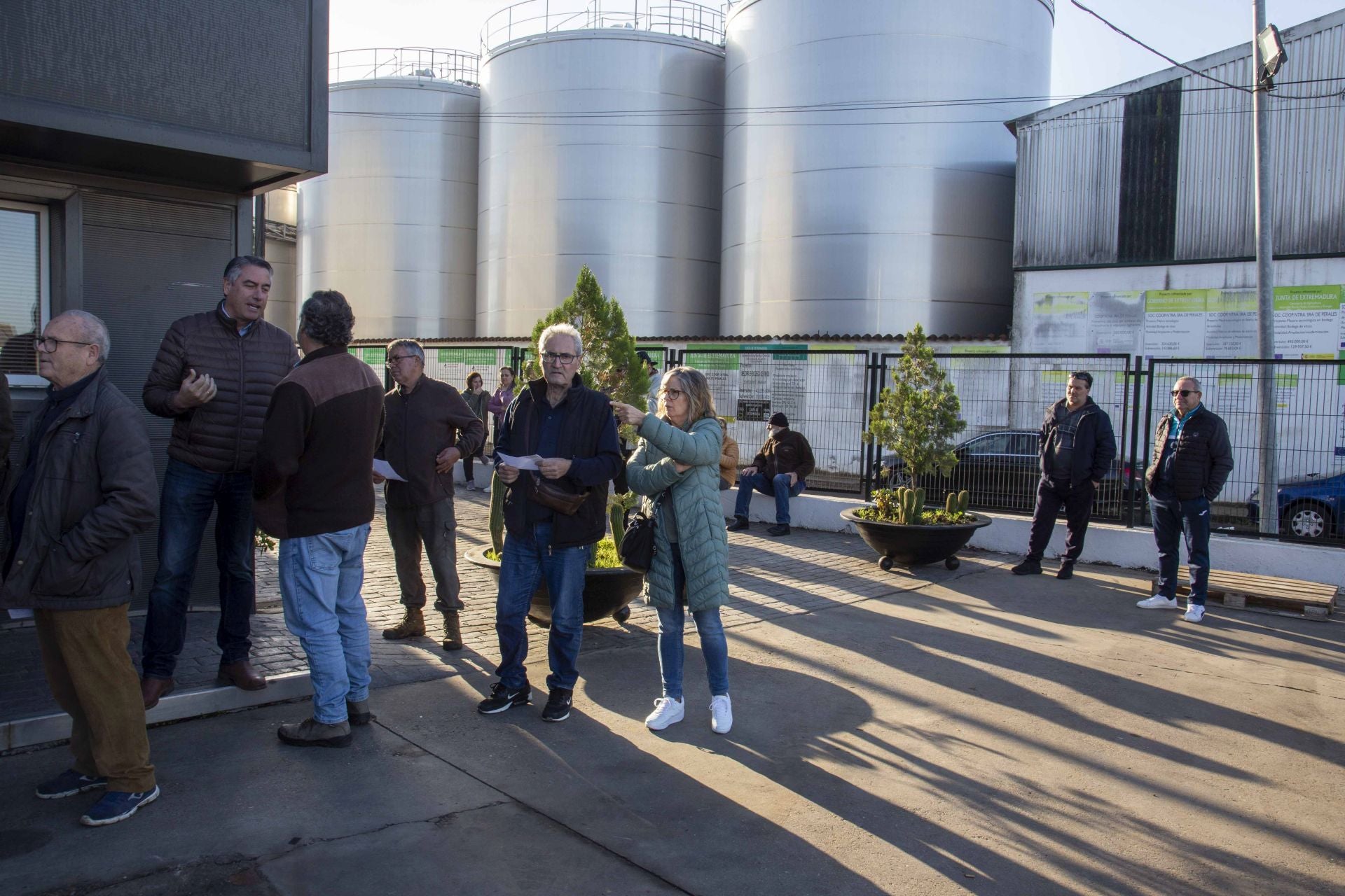 Fotos | Colas en la cooperativa de San Serván para comprar aceite más barato