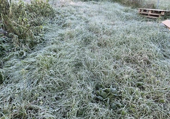 a hierba helada ha sido la imagen de la mañana en algunos puntos de la región.