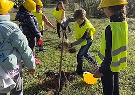 Los escoalres en plena faena