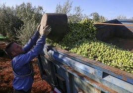 Además, la organización ya trabaja en la propuesta de reducción de coeficientes de módulos del IRPF para 2024.