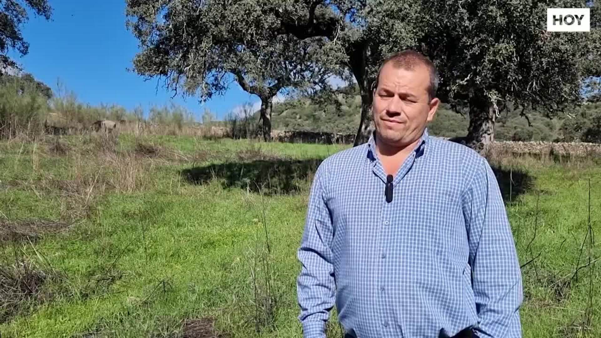 Menos guarros y precios estables para empezar la montanera