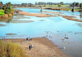 Los pacenses paseando por el cauce del Guadiana durante este puente de la Constitución en Badajoz.