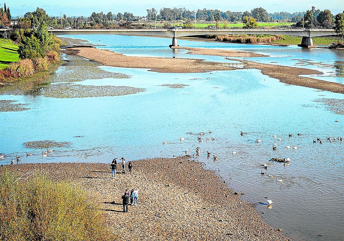 Así se ve el Guadiana con la bajada del nivel del agua