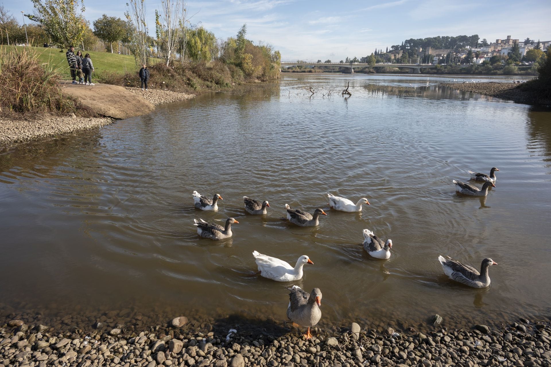 Así se ve el Guadiana con la bajada del nivel del agua