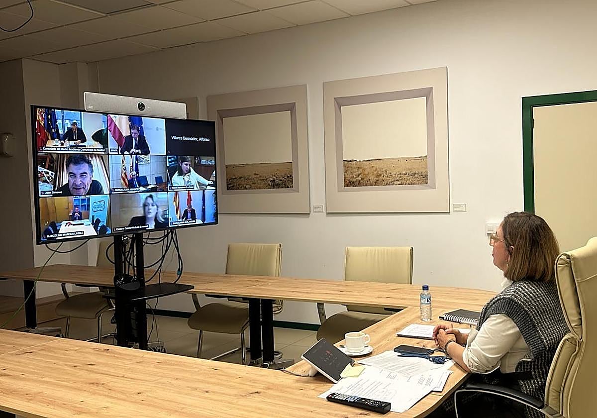 Mercedes Morán en la videoconferencia.