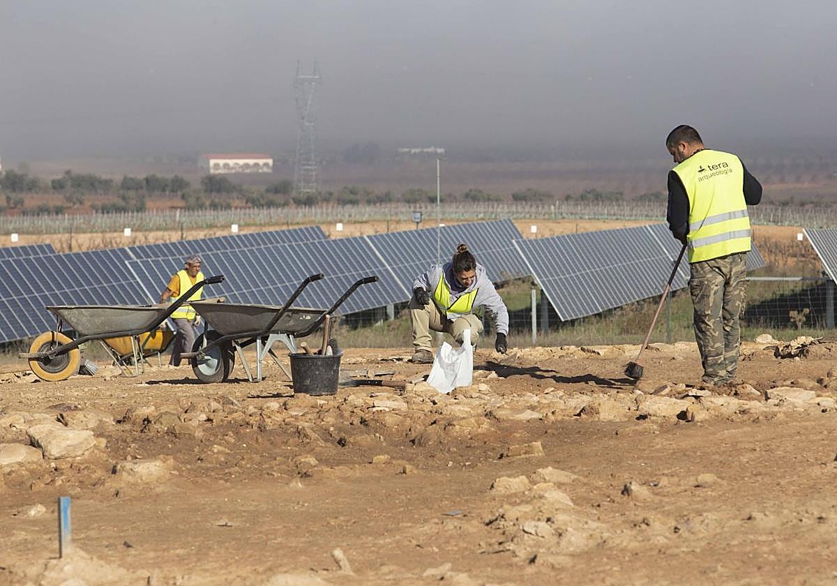 Los trabajos de excavación en Cortijo Lobato, en imágenes