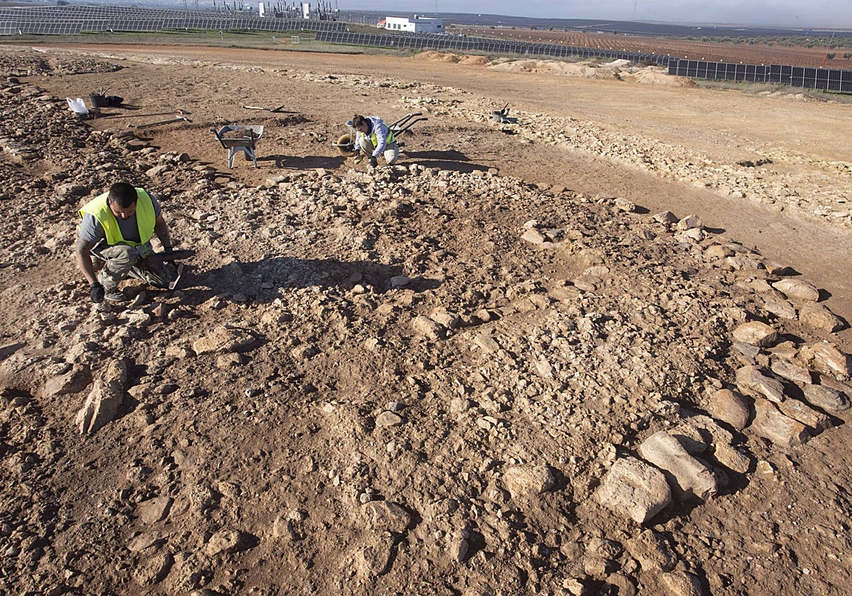 Trabajos en lo que era una de las tres murallas de Cortijo Lobato, en Almendralejo.