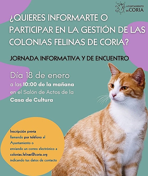 Coria organiza una jornada informativa sobre la gestión de colonias felinas