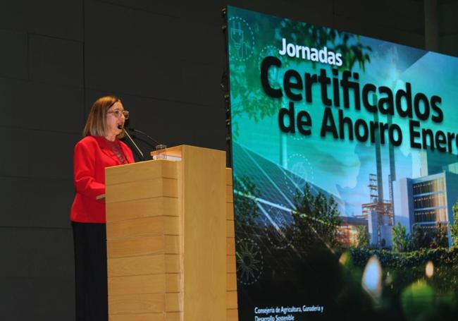 Mercedes Morán, consejera de Desarrollo Sostenible, en una jornada de divulgación.