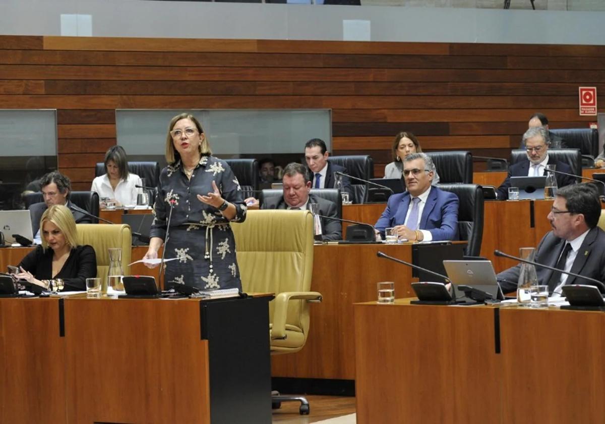 Imagen de la Asamblea de Extremadura.