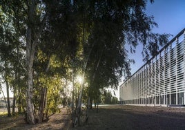 Edificio contenedor de Institutos Universitarios