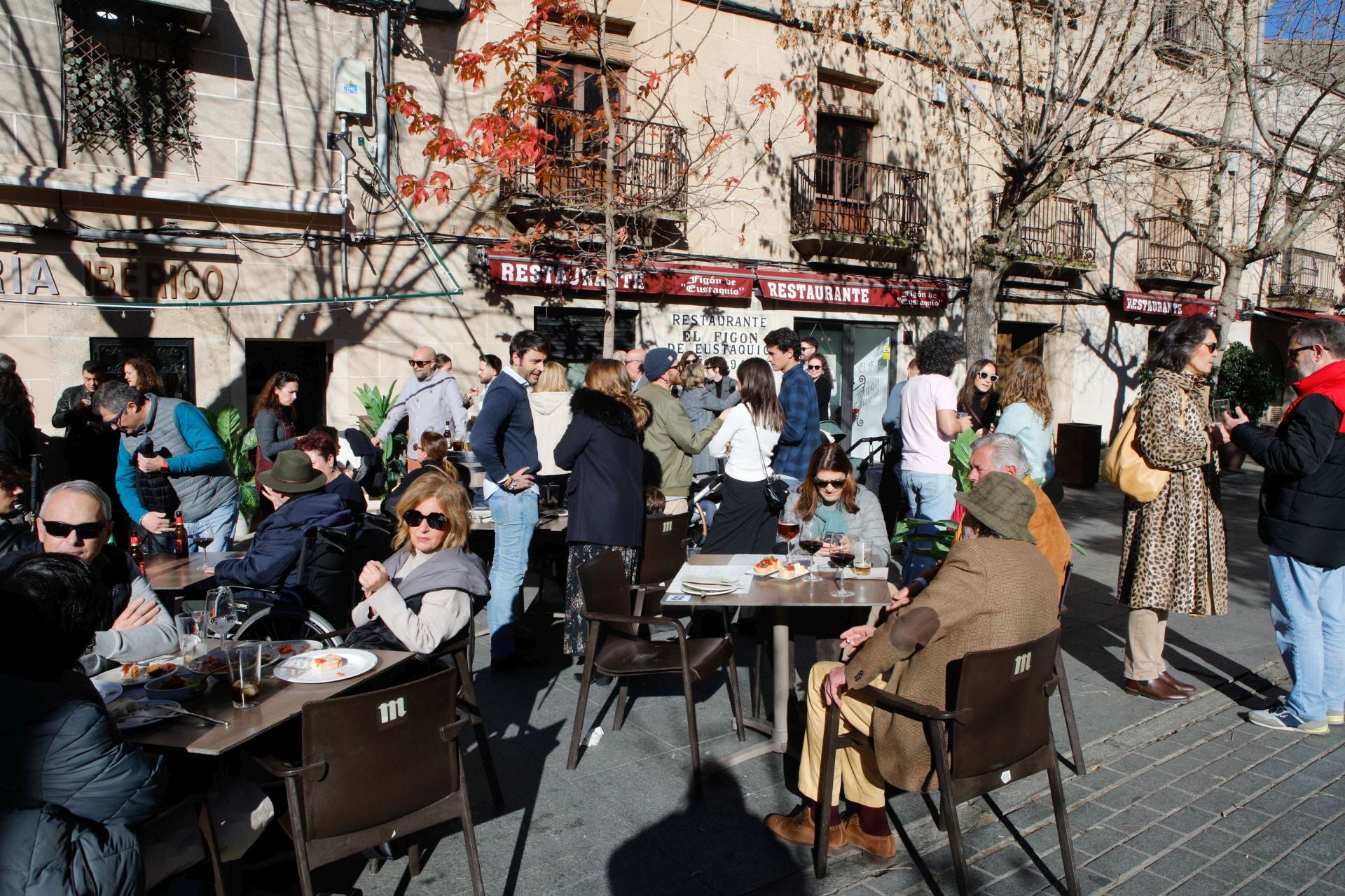 Las calles de Cáceres se llenan con las cañas de Nochebuena