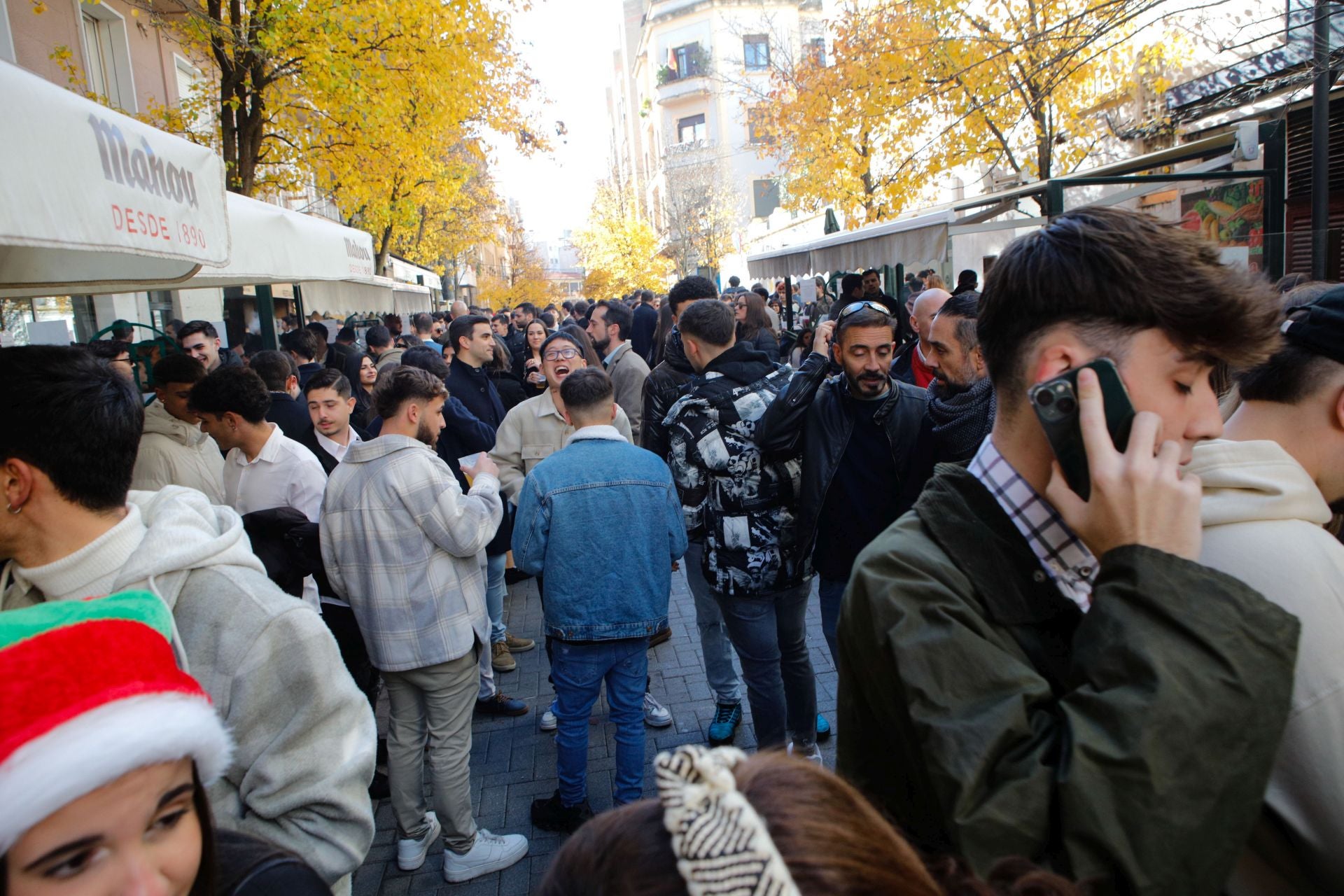 Las calles de Cáceres se llenan con las cañas de Nochebuena