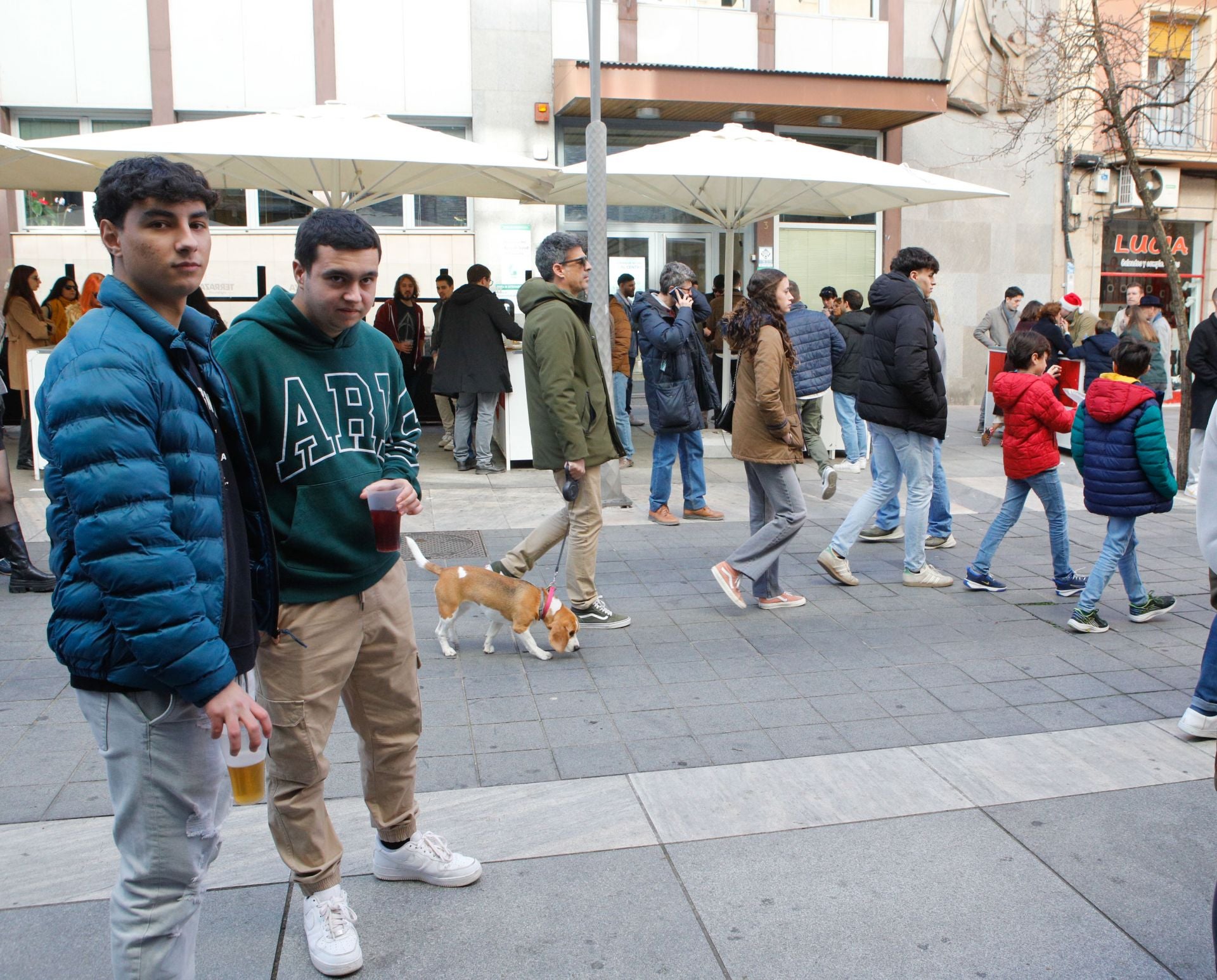 Las calles de Cáceres se llenan con las cañas de Nochebuena