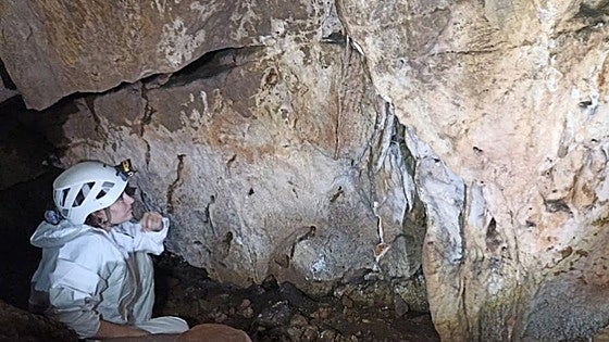 La cueva de Maltravieso, en Cáceres, gana prestigio como referencia en el estudio del neandertal