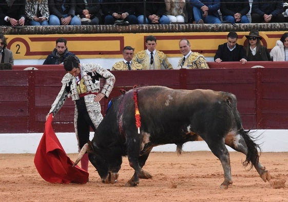 Derechazo de Morante en la última feria de Olivenza.