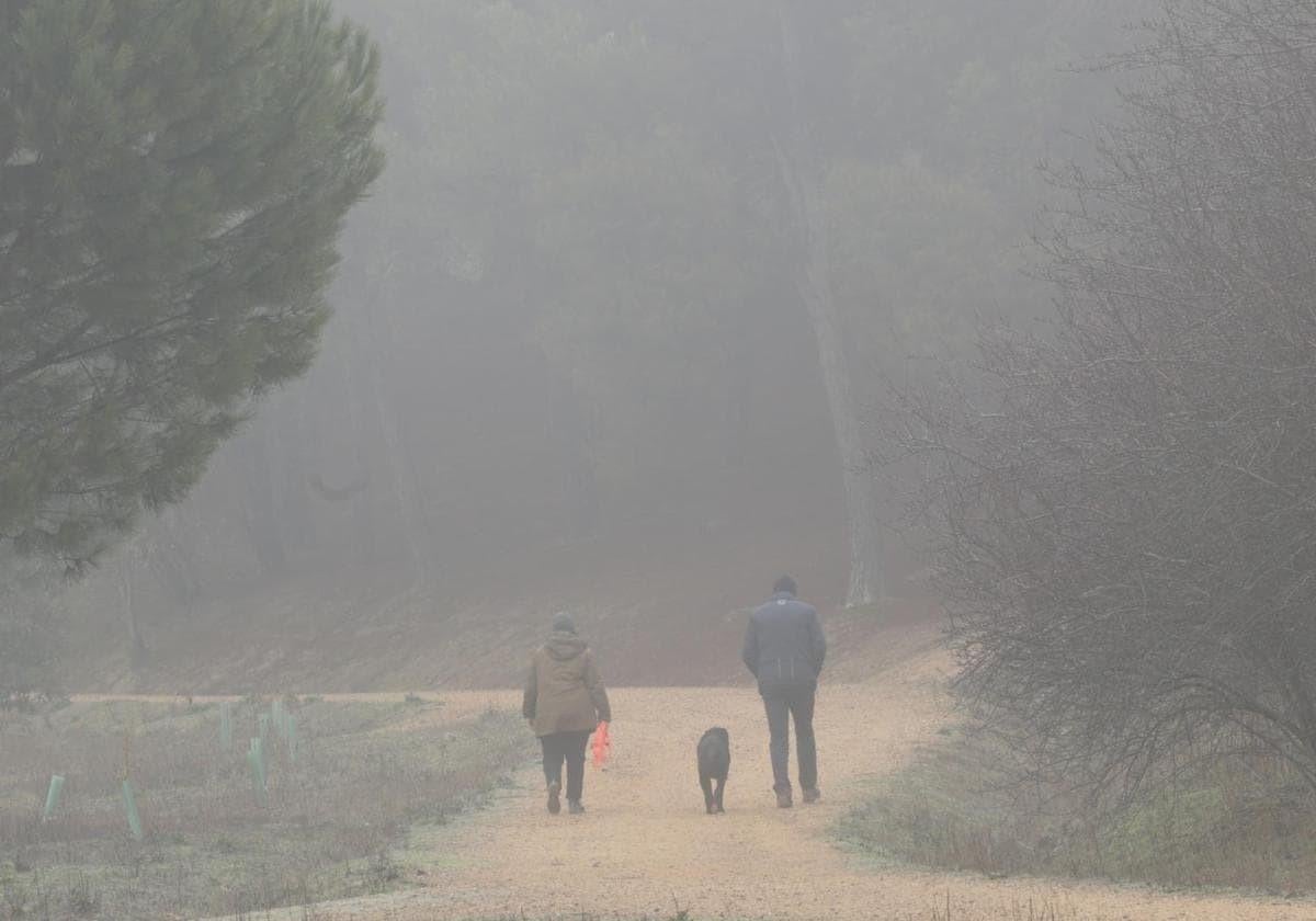 Ocho regiones estarán este jueves en riesgo por frío y niebla