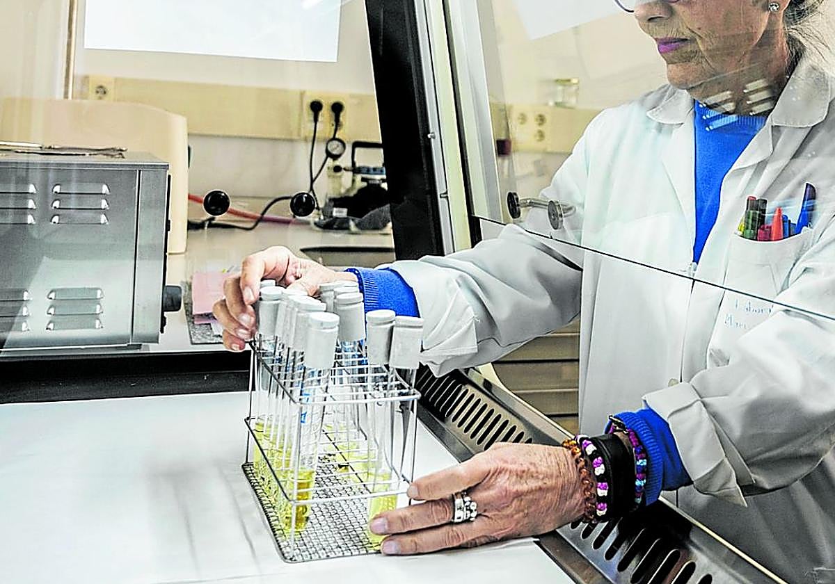 Adenex encuentra microplásticos en las muestras de agua analizadas en cinco ríos de Extremadura