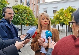 Piedad Álvarez, portavoz del Grupo Parlamentario Socialista.