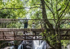 Pasarelas para acercarnos a un paraíso fluvial