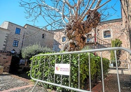 Vallas de protección de la higuera del patio del palacio de Carvajal.