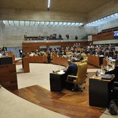 El regadío de Tierra de Barros, los presupuestos y la mina de Cáceres centran el pleno de la Asamblea