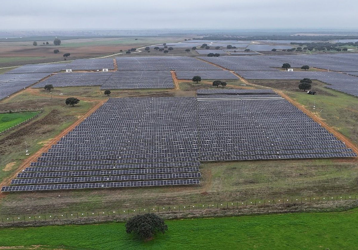 Panorámica de una de las tres fotovoltaicas puestas en marcha por Naturgy en el término de Badajoz.