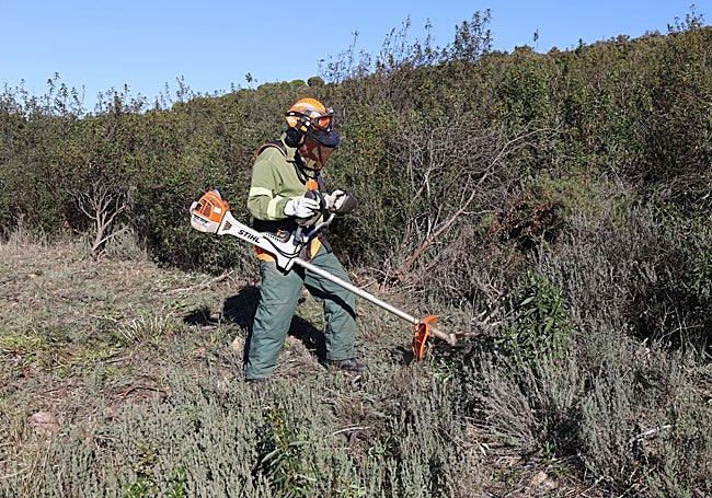 Un operario durante los trabajos de desbroce en la Sierra de la Mosca, este jueves.