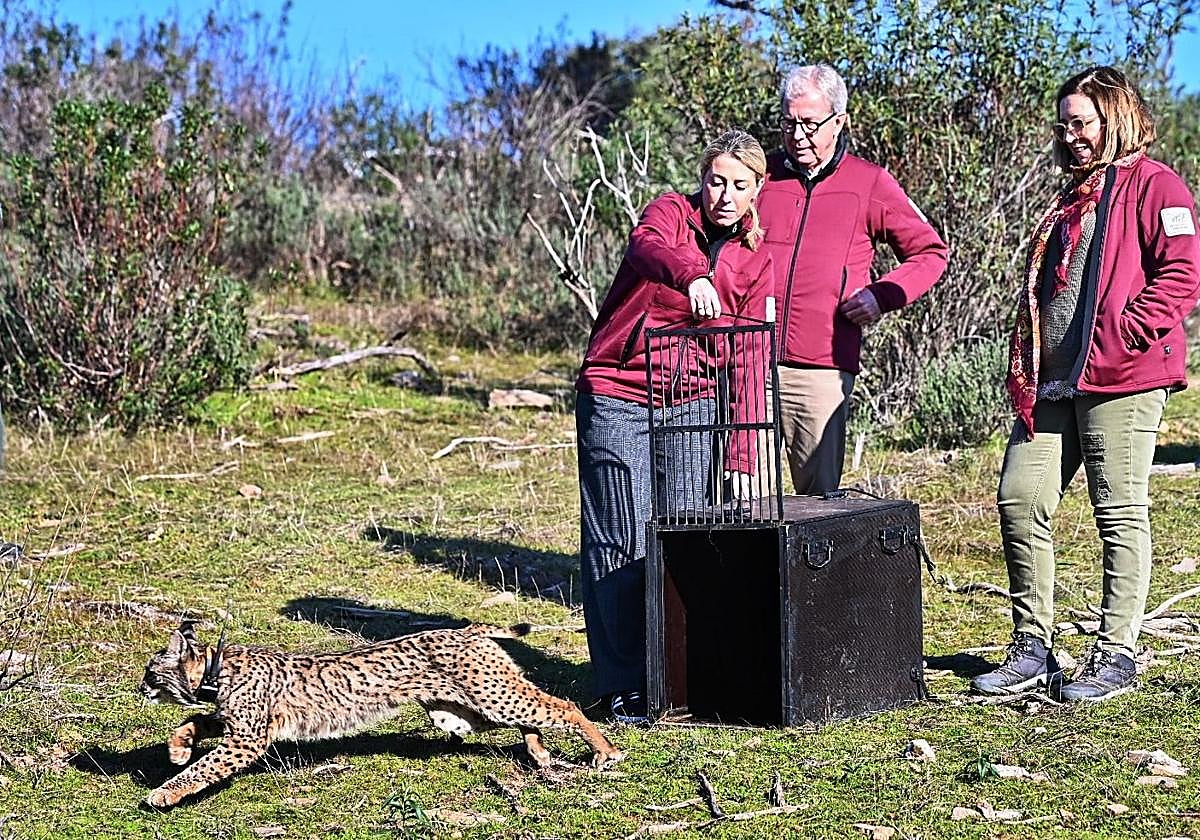La presidenta de la Junta ha liberado a Orvalho en Monfragüe.