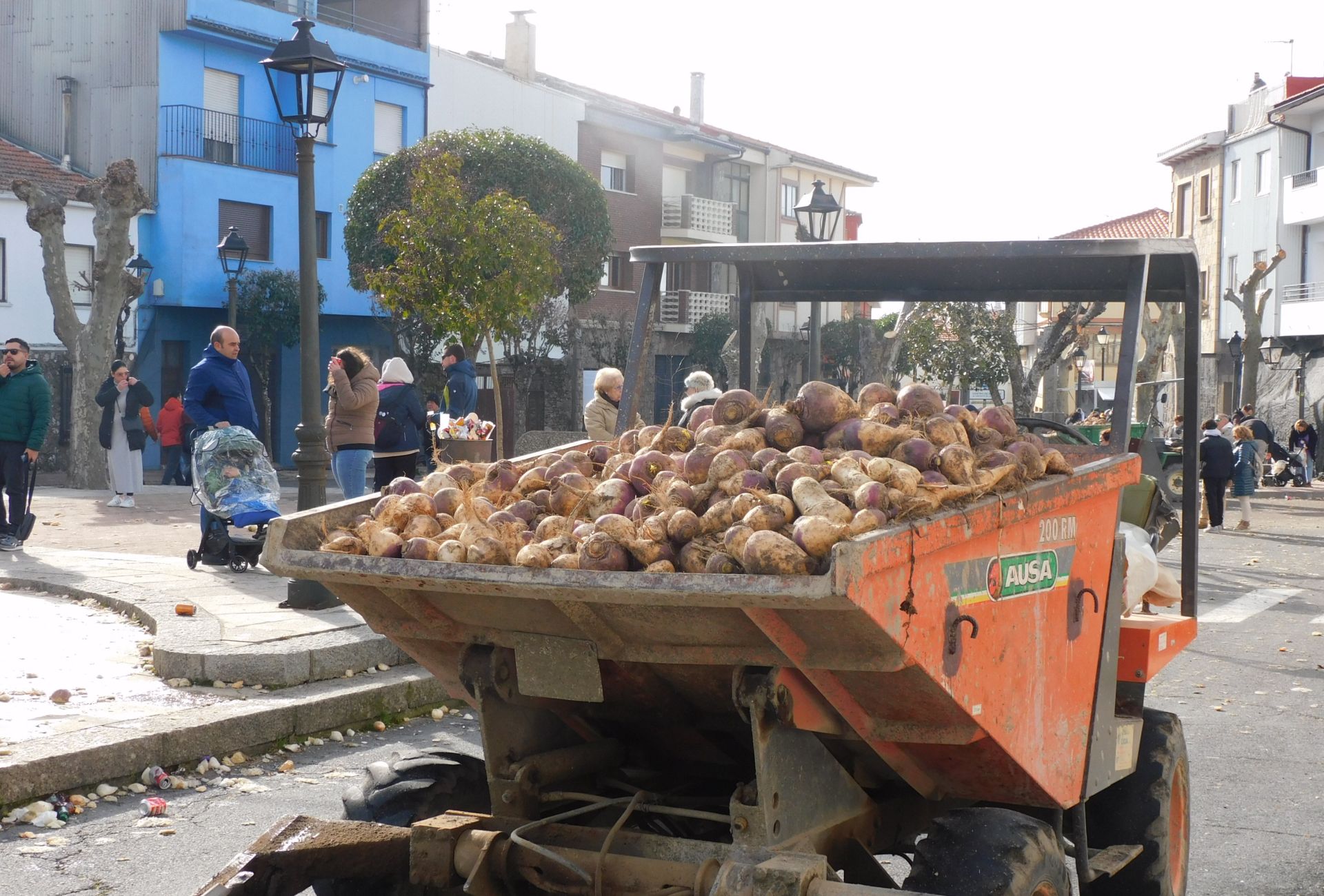 Toneladas de nabos caen sobre Jarramplas